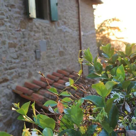 Podere I Rovai-apt Il Rifugio- In The Heart Of Tuscany *