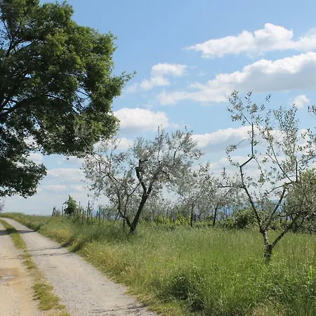 Podere I Rovai-apt Il Rifugio- In The Heart Of Tuscany Holiday home *